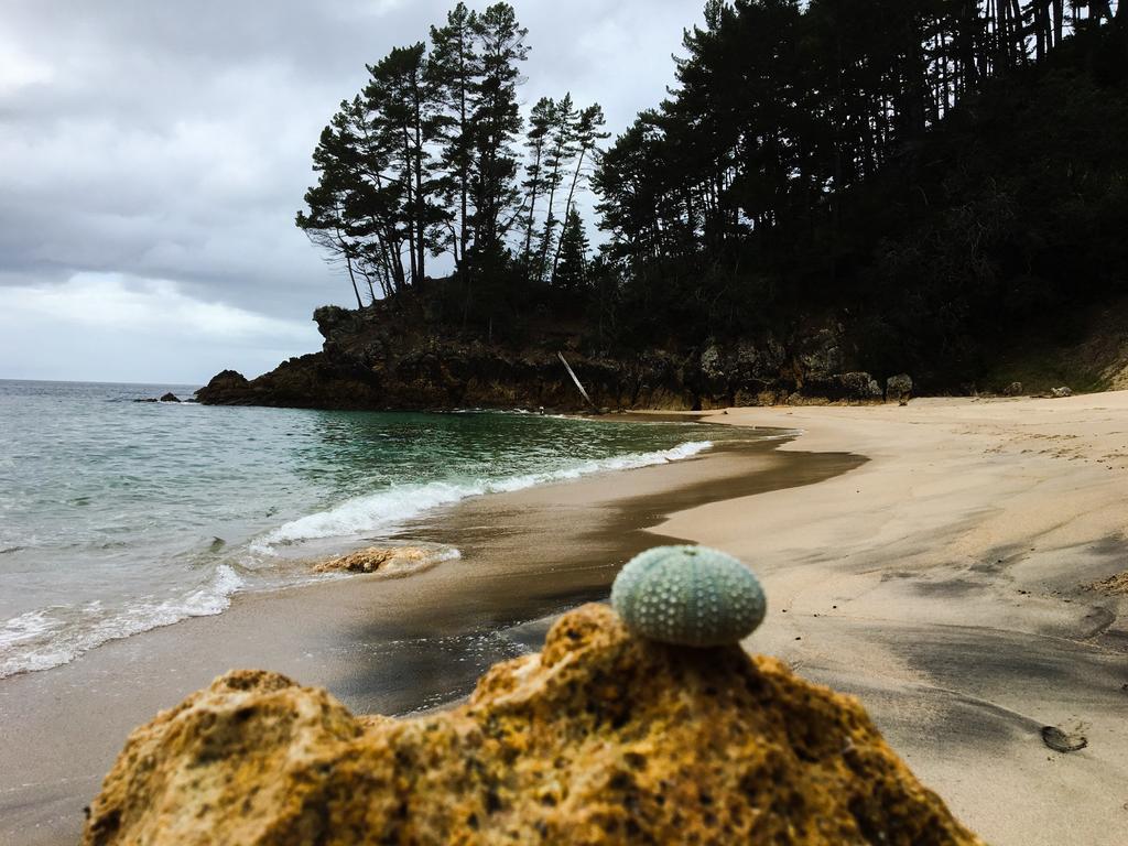 Whangamata Vistas B&B Екстериор снимка