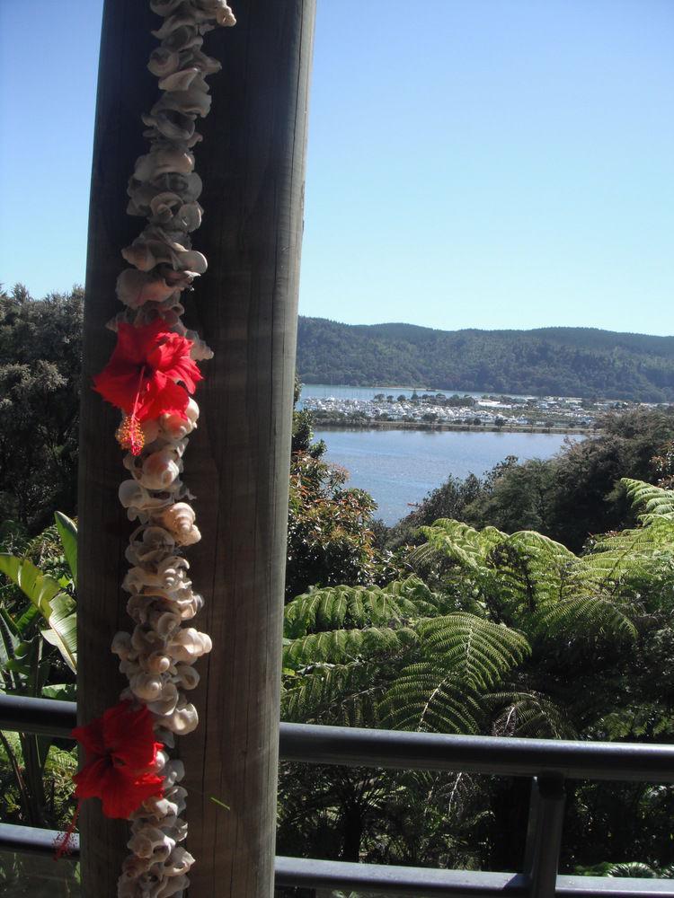 Whangamata Vistas B&B Екстериор снимка